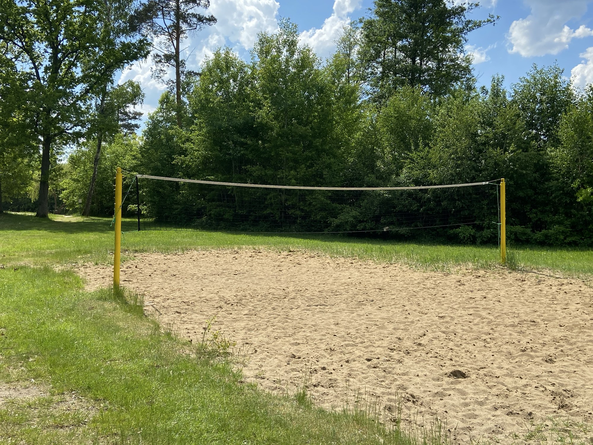 Beachvolleyballfeld zwischen B&auml;umen